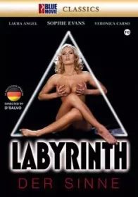 Labyrinth Der Sinne