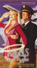 Angels In Flight